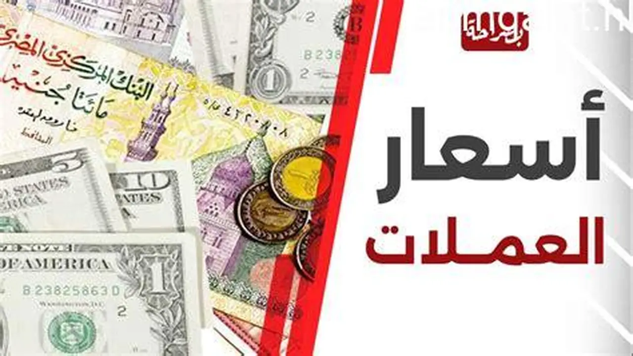 تحديثات جديدة.. أسعار صرف العملات الأجنبية مقابل الجنيه داخل البنوك المصرية ونسب التغيير الأخيرة